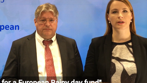 ESM Discussion Paper no. 5 - A case for a European Rainy Day Fund-724-466