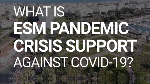 What is ESM Pandemic Crisis Support-724-466