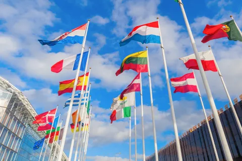flags